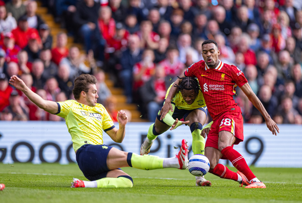 西班牙人举办“鹦鹉不离弃”活动，用待领养狗狗组成特殊阵容（西班牙人发起“鹦鹉不离弃”公益活动，用待领养犬组建独特阵容）